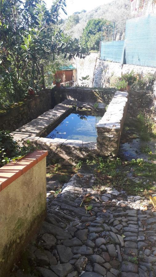 Antico Lavatoio Hotel Luni Luaran gambar